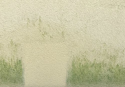 Cistenie fasady pred