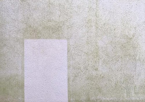 Cistenie fasady pred