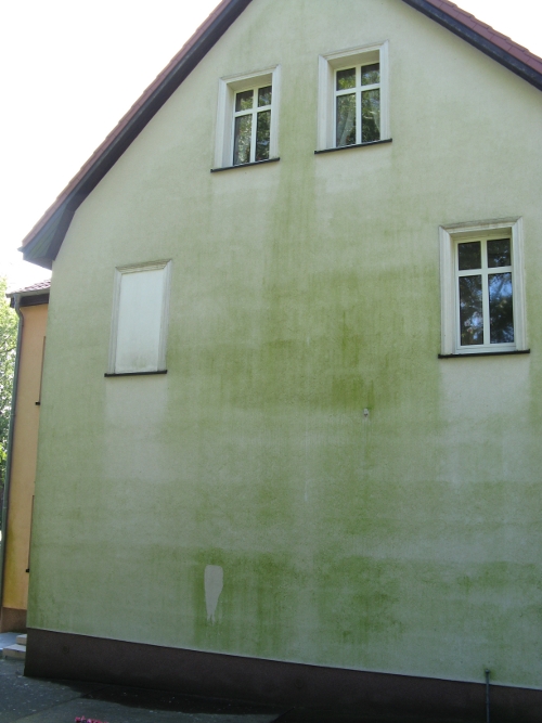 Cistenie fasady pred